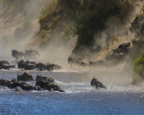 5c96ed21-1e01-4bd2-b772-e67ef5a56008