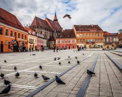 72c9812a-37b3-4bc0-9ce7-abb40c28359d