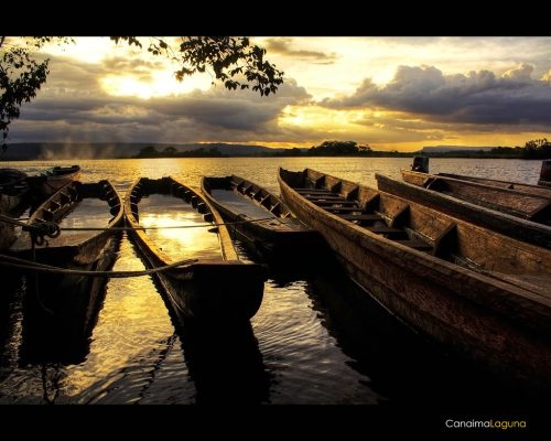 738e9096-6f2c-4196-af4b-83e97d6108d3-1