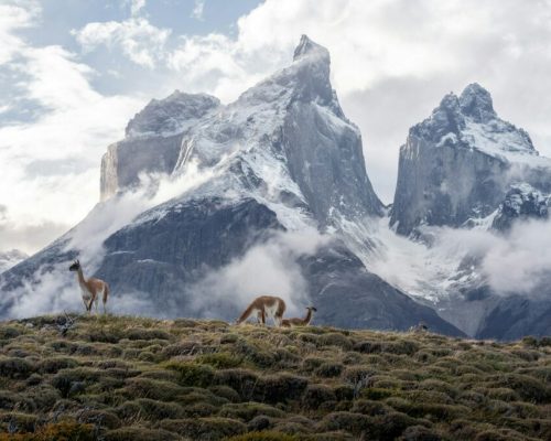 7oj4d_ewb7c-1024x683-1