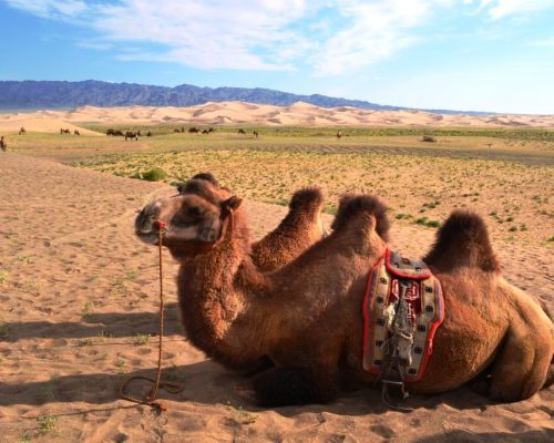 87dd242d-92c2-4046-9c70-ceffa881ba29-1024x683-1