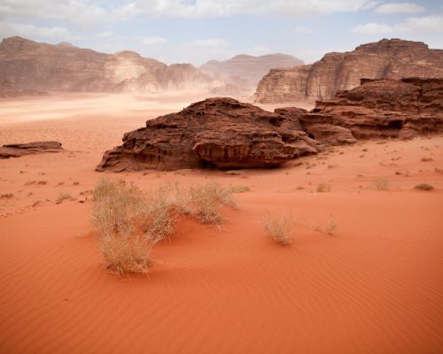 9948a115-b6a3-4439-b873-52dfa123f65f