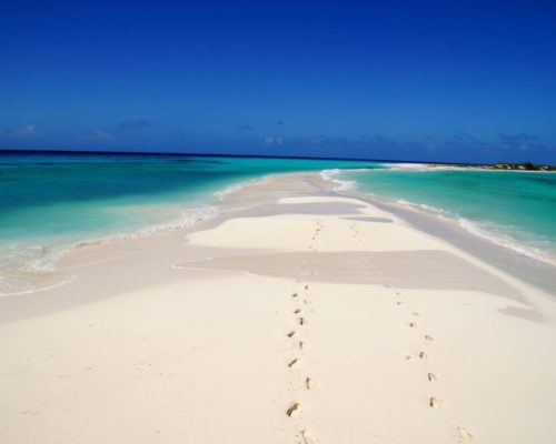 ac4f2bef-210e-4b9f-8ec5-94b97363af37-1024x681-1