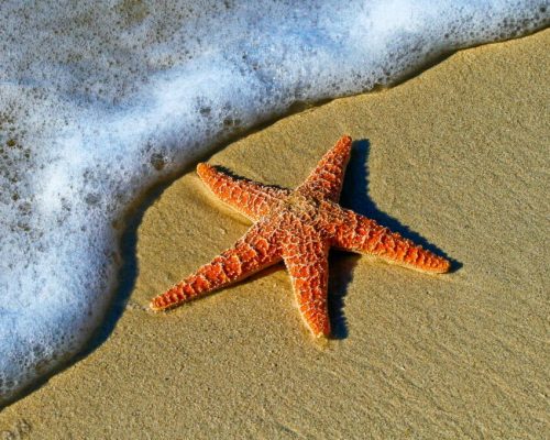 br-xdb9ke0q-1024x679-1