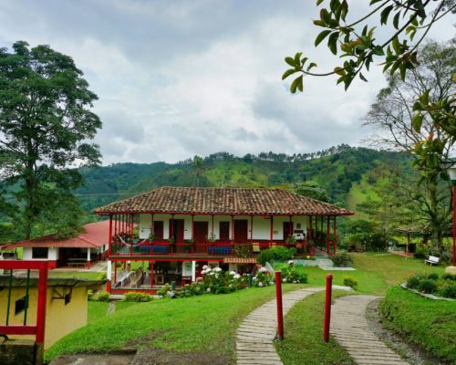 cho9nh4iakc-1024x683-1