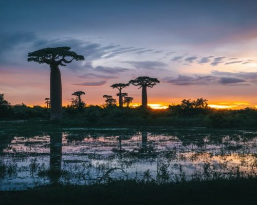 evkxmfot_je-1024x683-1