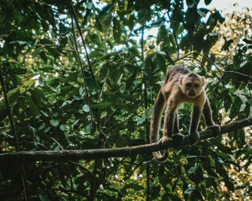 hbhkeb5m2xe-1024x683-1