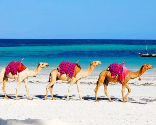 kenia-diani-beach-camellos-1024x576-1