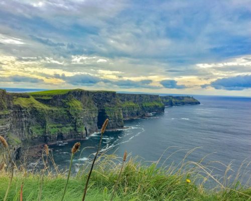 npxksk-makg-1024x768-1