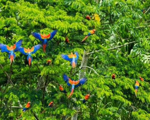 phackhyklrg-1024x683-1