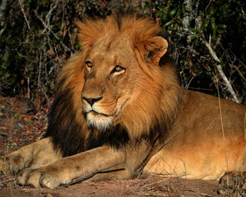 vqu-stjo4bs-1024x683-1